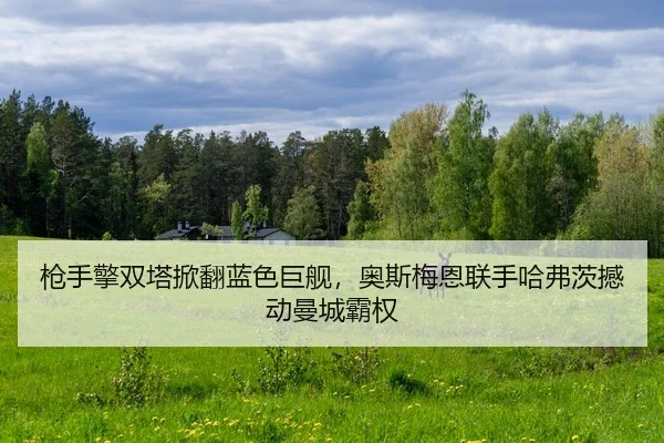 枪手擎双塔掀翻蓝色巨舰，奥斯梅恩联手哈弗茨撼动曼城霸权
